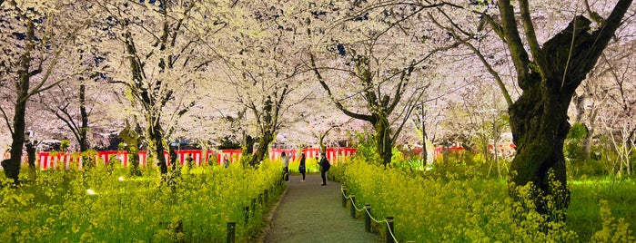 平野の夜桜 is one of 史跡5.