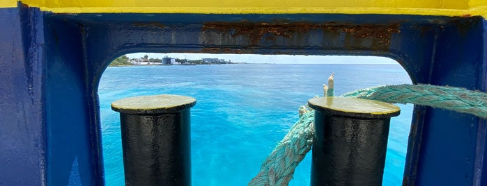 Muelle Transbordadores Cozumel is one of J. Albertoさんのお気に入りスポット.
