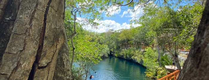 Cenote Jaguar is one of Caribe 🇲🇽.