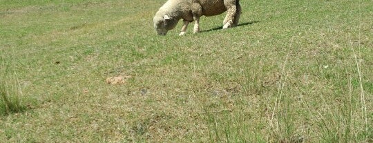 Rokkosan Pasture is one of 牧場.