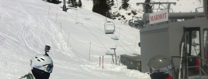 Marmot Chair Lift is one of Michaelさんのお気に入りスポット.