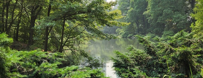 Central Park Gottlieb Bench is one of สถานที่ที่ Soni ถูกใจ.