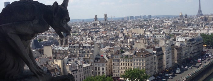 Cattedrale di Notre-Dame is one of Paris(4Luc).