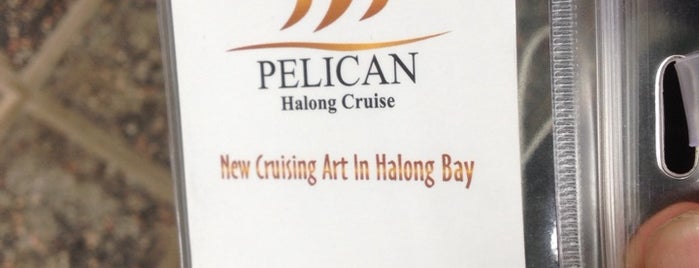 Pelican Cruise Lounge is one of Locais curtidos por Alan.
