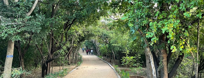 KBR Park is one of The 15 Best Quiet Places in Hyderabad.