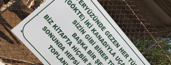 Ayvalık Köpek Barınağı is one of Tempat yang Disukai 🐾NUR.