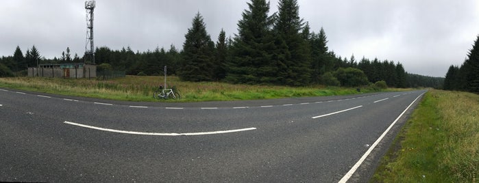 Ballyboley Forest is one of Lieux qui ont plu à Mark.