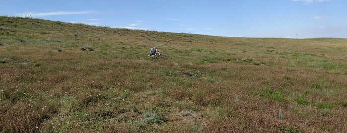 North Foothills Trail is one of Trailheads.