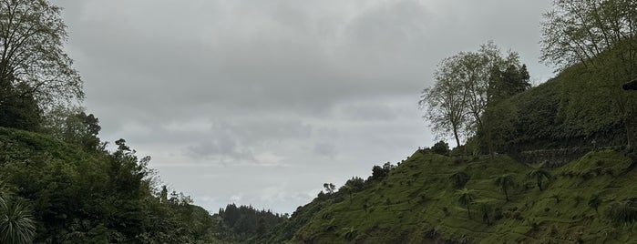 Parque Natural da Ribeira dos Caldeirões is one of Azores East Trip.