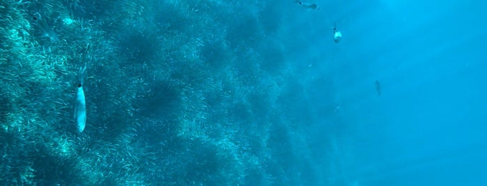 Sea Club Cap Rocat is one of islas baleares.