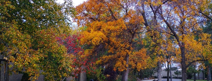 Wascana Park is one of Guide to Regina's best spots.