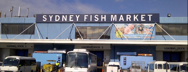 Sydney Fish Market is one of Sydney's must be places.