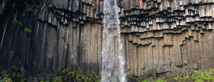 Svartifoss is one of Iceland To Do.