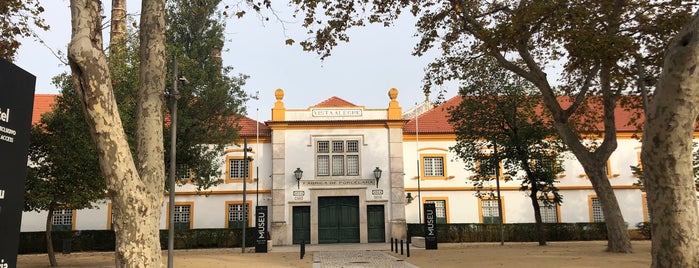 Fábrica da Vista Alegre is one of Aveiro.