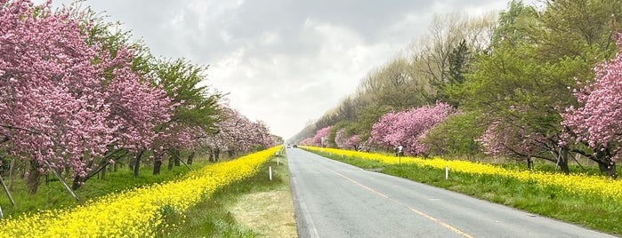 大潟橋 is one of 可動橋.