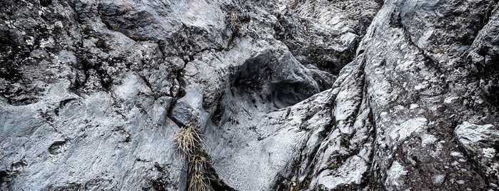 Subashiri Maboroshi-no-taki Falls is one of 観光 行きたい2.