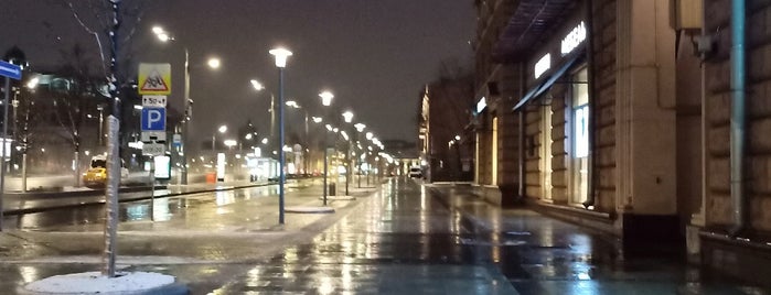 Новинский бульвар is one of boulevards in Moscow.