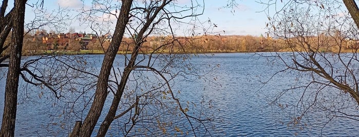 Потаповский пруд is one of Грабли.
