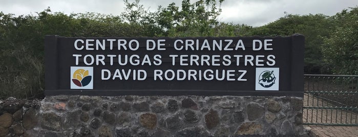 Centro de Crianza de Tortugas Terrestres is one of Galápagos.