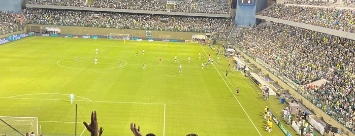 Estádio Arena Barueri is one of Cotidiano.