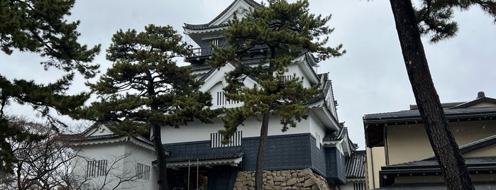 Okazaki Castle is one of สถานที่ที่บันทึกไว้ของ Yongsuk.