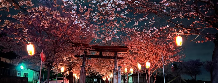 香取神社 is one of 千葉県の行ってみたい神社.