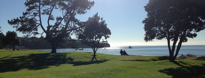 Browns Bay Beach is one of Great places to visit around Auckland.