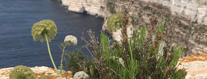 Ta' Ċenċ Cliffs is one of Мальта.
