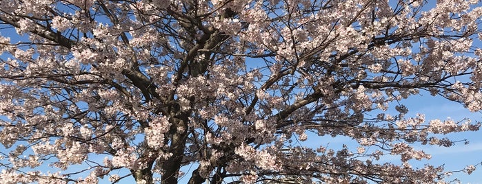 海峡カフェ「かんもん号」 is one of Kyu-shu.