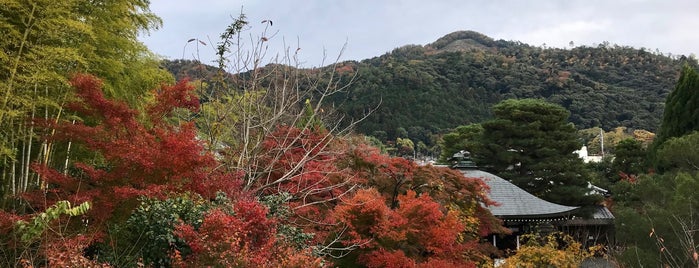 白沙村荘 is one of Kyoto.
