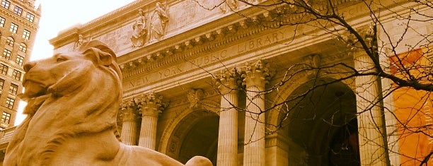 Нью-Йоркская публичная библиотека is one of New York minutes with VeBox.