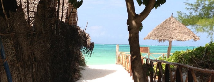 Paje is one of Zanzibar.