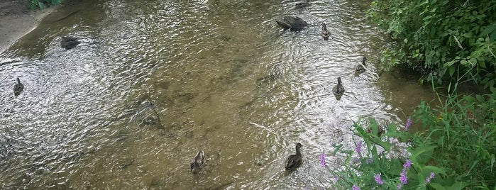 Dwight Lydell Park is one of Grand Rapids places.