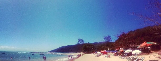 Praia da Tartaruga is one of Summer.
