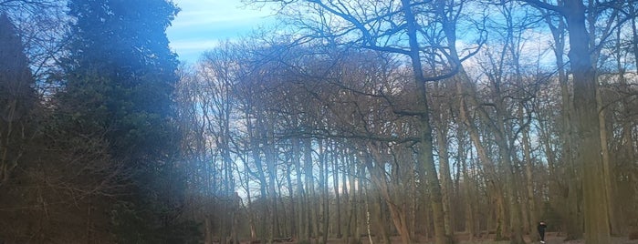 Nachtegalenpark is one of Natuur en bos.