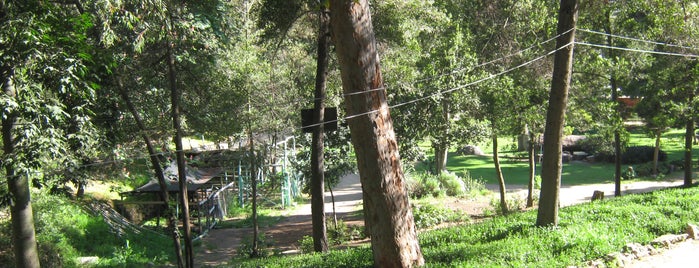 Parque Quinta Vergara is one of Parques.