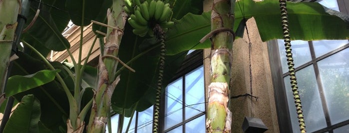 Banana House is one of Locais curtidos por Lizzie.