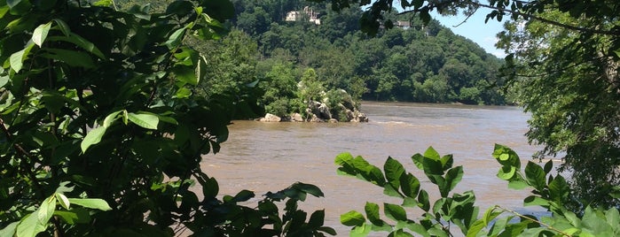 Potomac River is one of Lugares favoritos de David.
