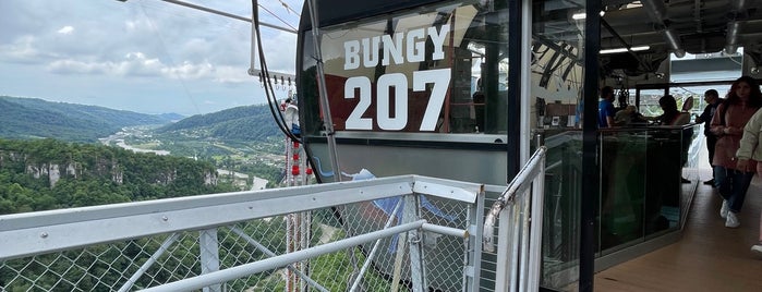 Bungy 207 is one of Zoich.