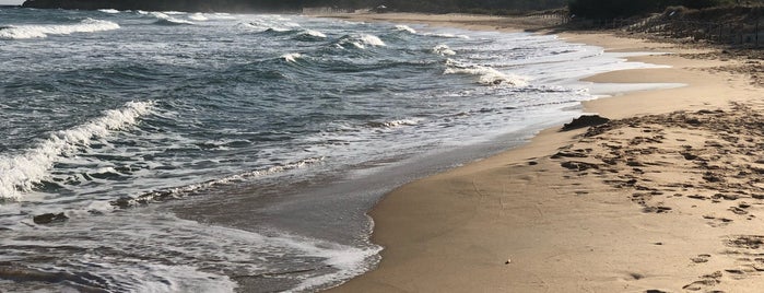 Spiaggia Sa Colonia is one of Posti che sono piaciuti a Paul in.