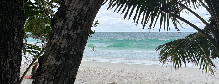 Anse Lazio is one of Rest of the world.