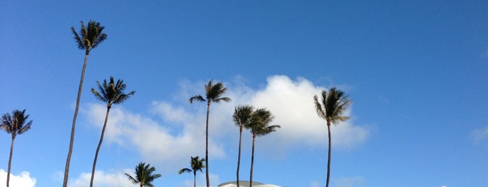 Neal S. Blaisdell Center is one of Hawaii.