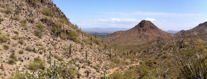 Phoenix Mountains Park and Recreation Area is one of Rest of the East Valley.