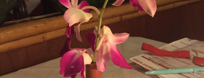 Thai Orchid is one of Lugares guardados de Eva.