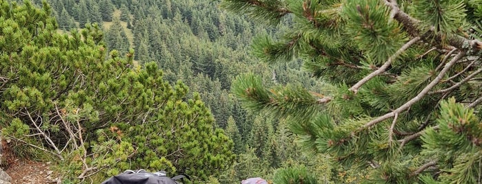 Malý Rozsutec (1343 m n. m.) is one of Terchová trip.