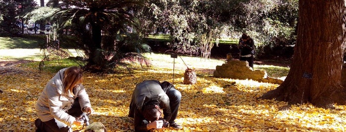 Jardín Botánico Carlos Thays is one of Si voy a Buenos Aires.