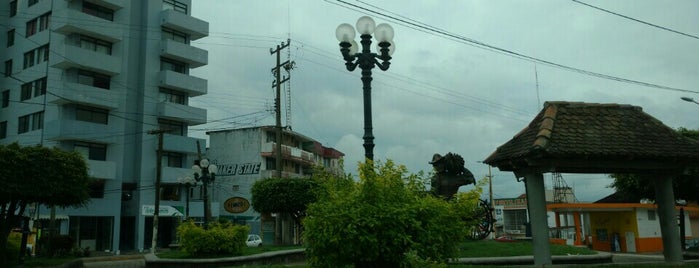 San Rafael, Veracruz is one of VER.