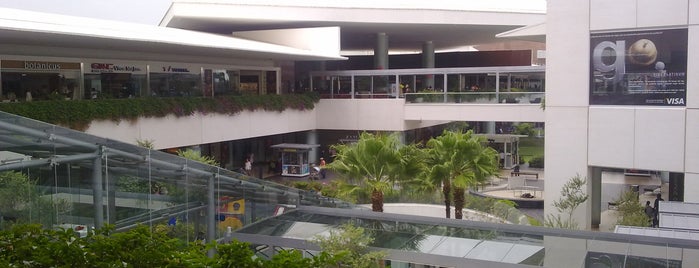 Centro Comercial Andares is one of GDL.