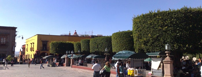 Jardín Allende is one of GTO.