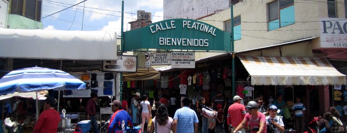 Calle Peatonal is one of GTO.